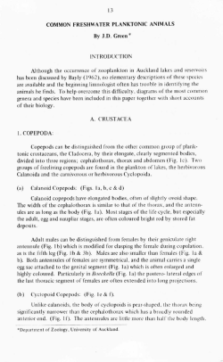 13 COMMON FRESHWATER PLANKTONIC ANIMALS By JD Green