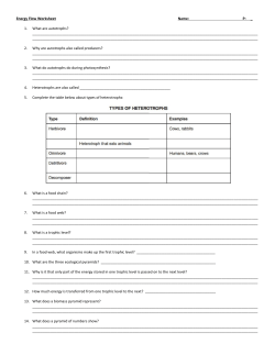 Energy Flow Worksheet Name