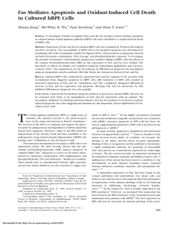 Fas Mediates Apoptosis and Oxidant-Induced Cell Death in