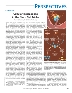 Comentary on Shen et al. by Wurmser et al.