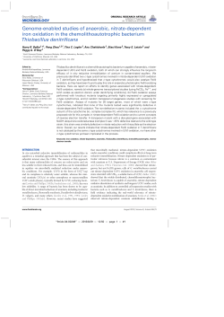 Genome-enabled studies of anaerobic, nitrate