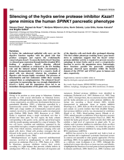 Silencing of the hydra serine protease inhibitor Kazal1 gene mimics