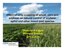 Effect of strip cropping of wheat, corn and soybean on natural control