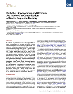 Article - Google Sites