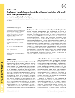 Analysis of the phylogenetic relationships and evolution of the cell