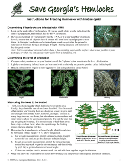 Instructions for Treating Hemlocks with Imidacloprid