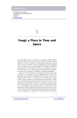 Fungi: a Place in Time and Space - Beck-Shop