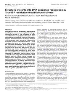 Structural insights into DNA sequence recognition by Type ISP