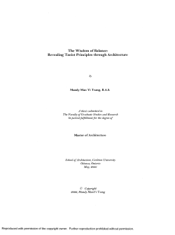 The Wisdom of Balance: Revealing Taoist Principles through