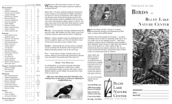 Birds of - Bluff Lake Nature Center