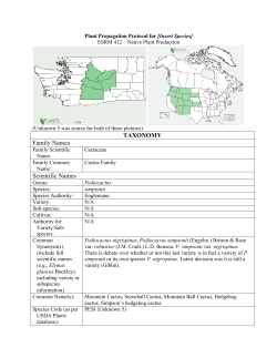 mountain ball cactus - University of Washington