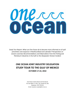 study tour to the gulf of mexico