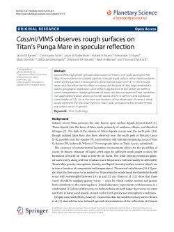 Cassini/VIMS observes rough surfaces on Titan`s Punga Mare in