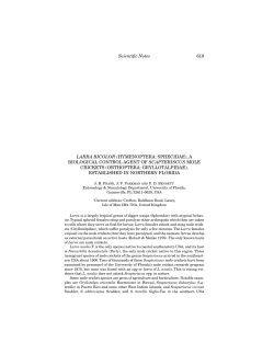 this PDF file - Florida Online Journals