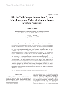 Effect of Soil Compaction on Root System Morphology and Yields of