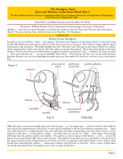 The Snodgrass Tapes Facts and Theories on the Insect Head. Part 1