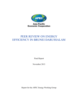 PEER REVIEW ON ENERGY EFFICIENCY IN BRUNEI DARUSSALAM