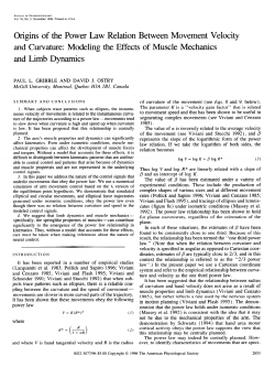 Origins of the power law relation between movement velocity and