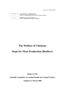 The Welfare of Chickens Kept for Meat Production (Broilers)