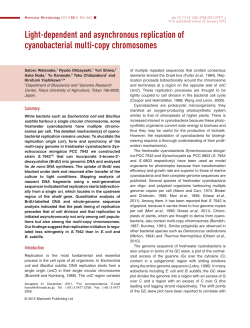 Lightdependent and asynchronous replication of cyanobacterial