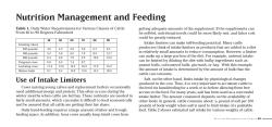 Nutrition Management and Feeding