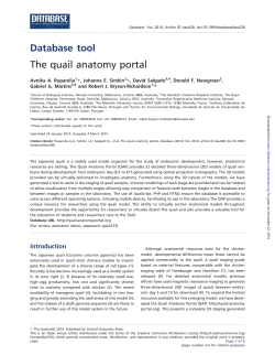 Database tool The quail anatomy portal