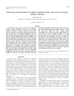 postnatal development of body architecture and gait in several