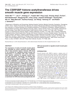 The CSRP2BP histone acetyltransferase drives smooth muscle