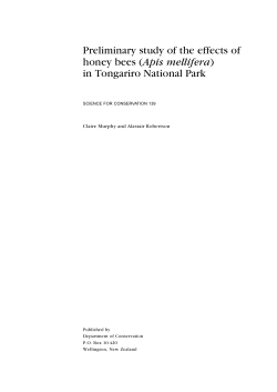 in Tongariro National Park - Department of Conservation