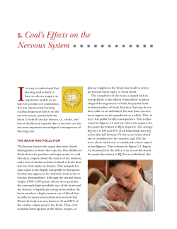 5. Coal`s Effects on the Nervous System