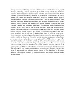 Primary, secondary and tertiary economic activities produce waste