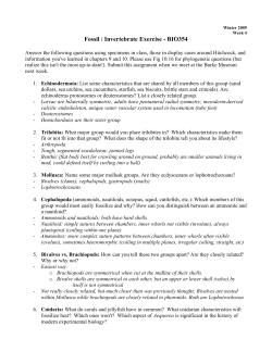 354 Week 4 - answer key