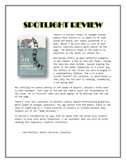 Wet Cement: A Mix of Concrete Poems