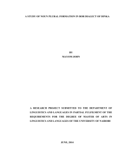 A study of noun plural formation in bor dialect of