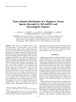Trans-Atlantic Distribution of a Mangrove Oyster - Archimer