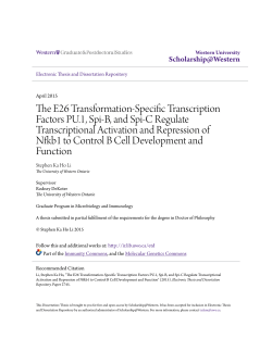The E26 Transformation-Specific Transcription Factors PU.1, Spi