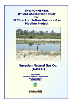 Egyptian Natural Gas Co. (GASCO)