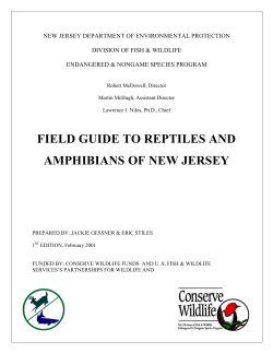 field guide to reptiles and amphibians of new