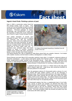 generation fact sheets