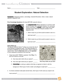 NaturalSelectionSE-peppered moths