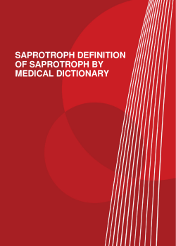 saprotroph definition of saprotroph by medical