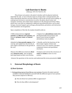 Lab 6 Roots - Napa Valley College