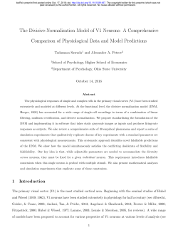 The Divisive-Normalization Model of V1 Neurons: A