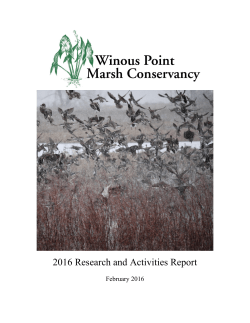 2016 WPMC Annual Report - Winous Point Marsh Conservancy