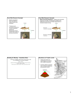 Food Web Research Example Food Web Research Example