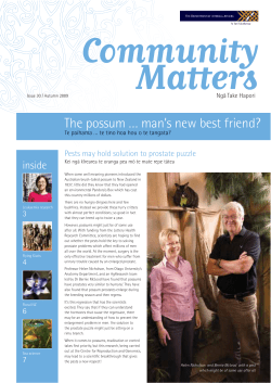 The possum &hellip; man`s new best friend? p