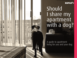 dogs in apartments_national.indd