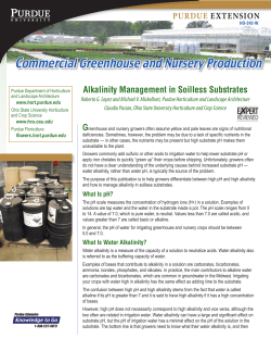 Alkalinity Management in Soilless Substrates