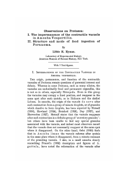 Observations on Protozoa: I. The impermanence of the contractile
