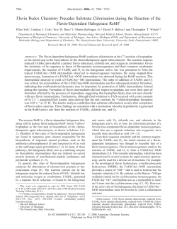 Flavin Redox Chemistry Precedes Substrate Chlorination